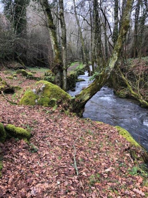 Casinha Estrela Da Encosta - Geres Villa Vieira do Minho Exteriör bild